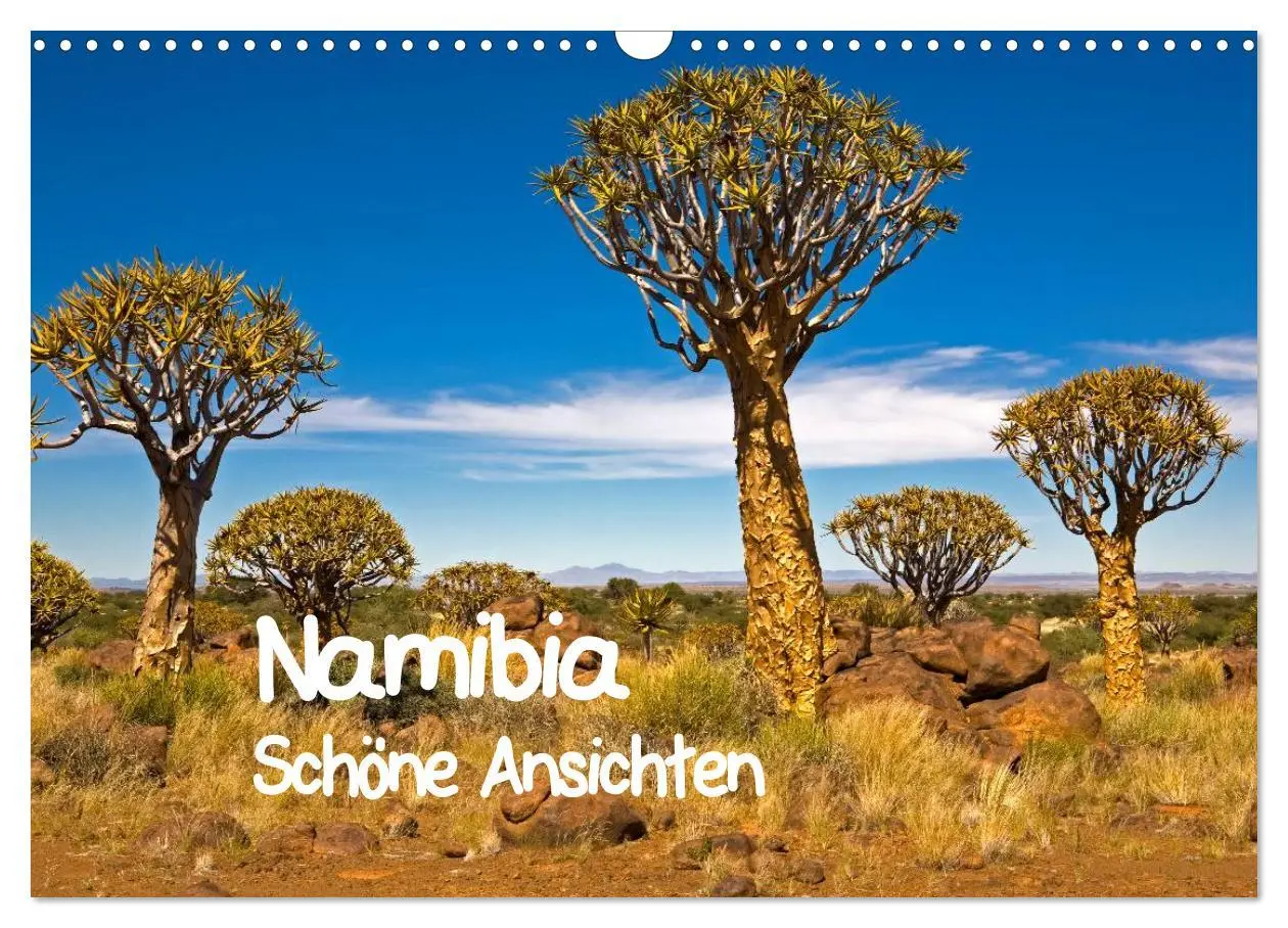 Cover: 9783516175226 | Namibia - Schöne Ansichten (Wandkalender 2026 DIN A3 quer),...