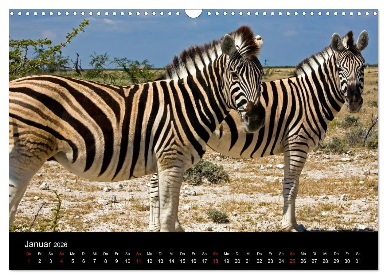 Bild: 9783516175226 | Namibia - Schöne Ansichten (Wandkalender 2026 DIN A3 quer),...