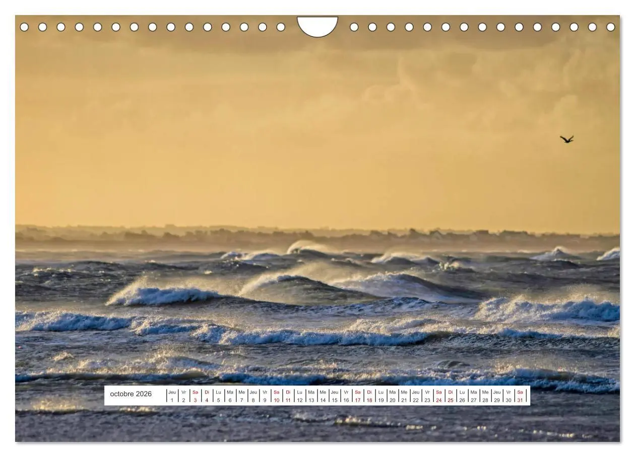 Bild: 9783516555226 | J'adore Le Cotentin (Calendrier mural 2026 DIN A4 vertical),...