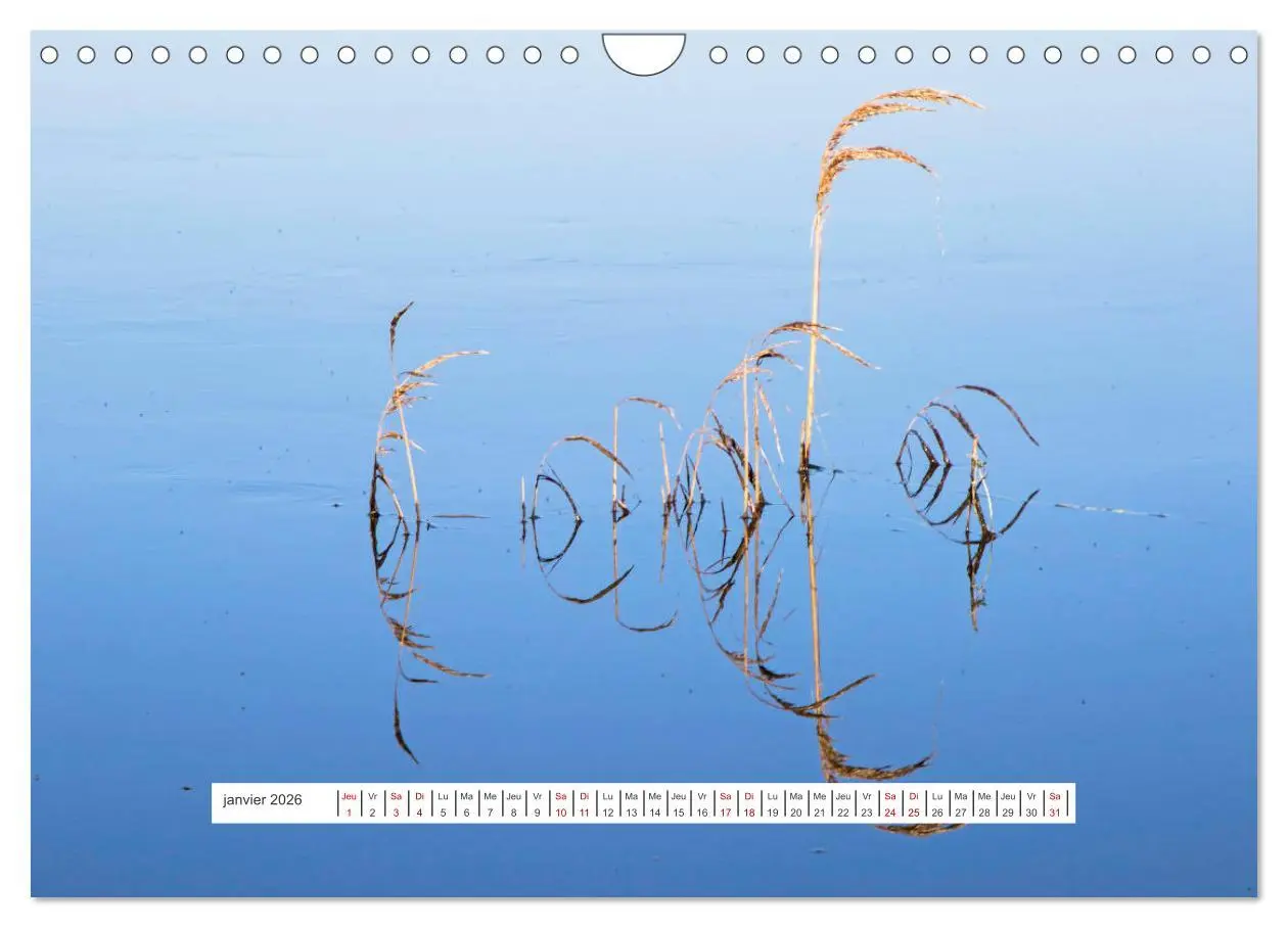 Bild: 9783516555226 | J'adore Le Cotentin (Calendrier mural 2026 DIN A4 vertical),...