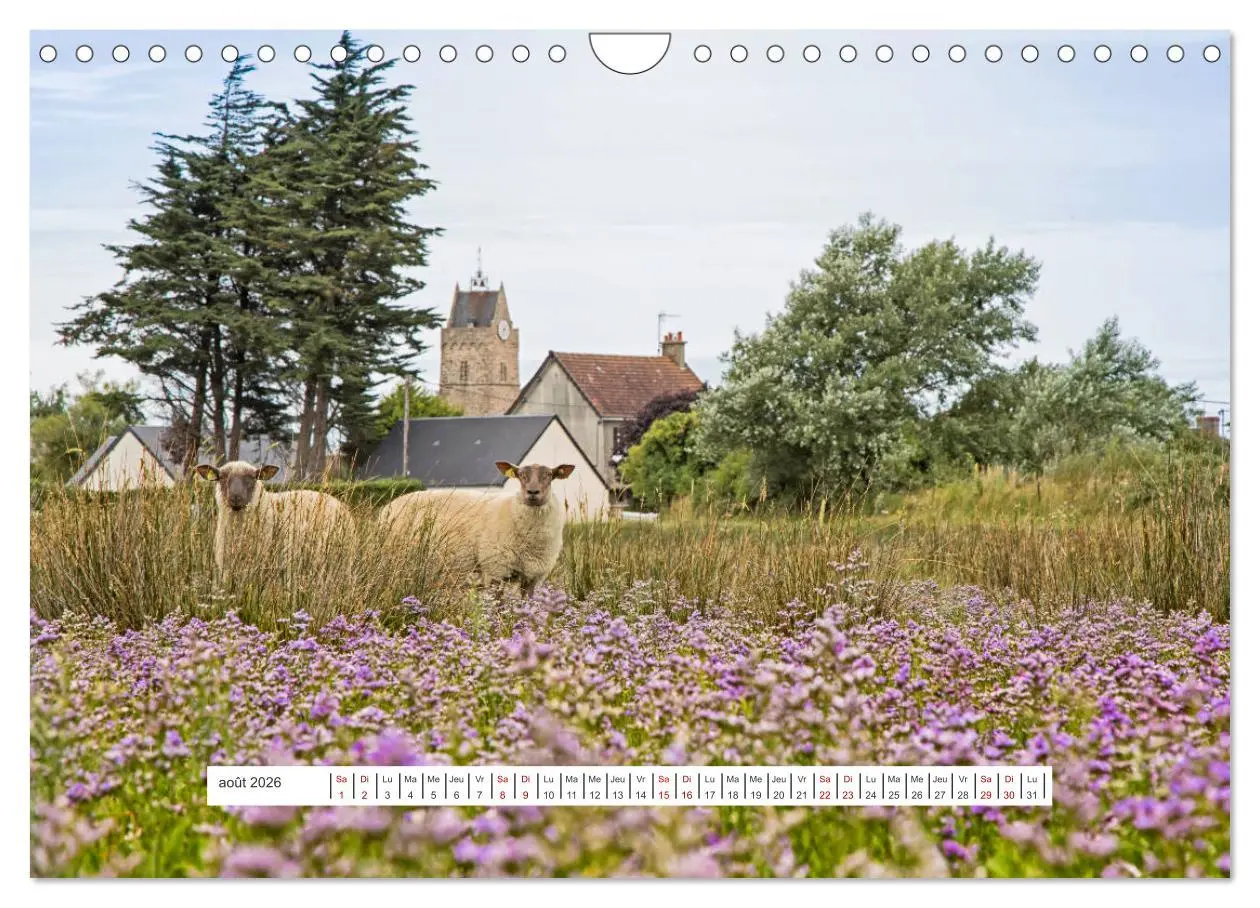 Bild: 9783516555226 | J'adore Le Cotentin (Calendrier mural 2026 DIN A4 vertical),...