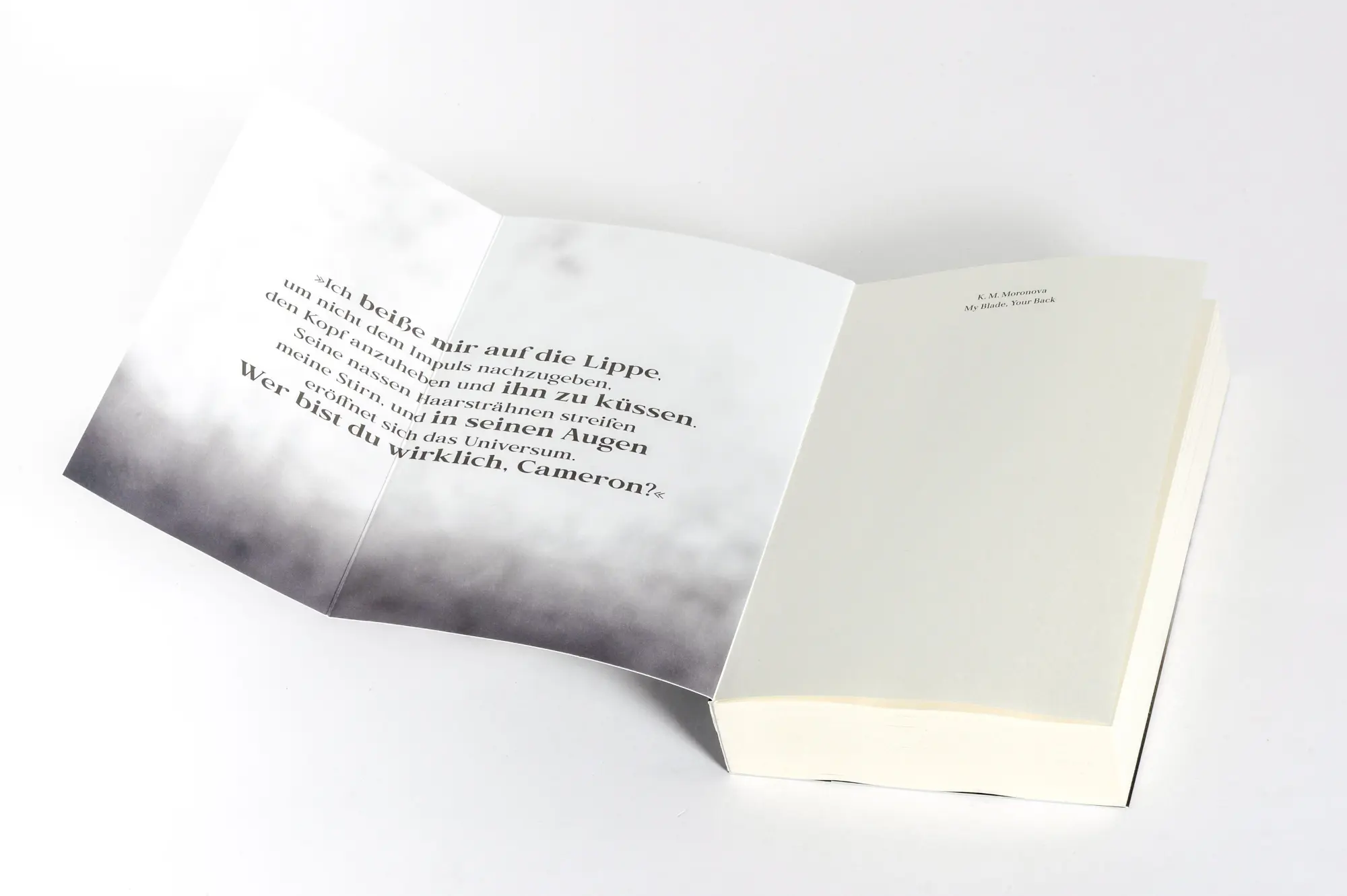 Bild: 9783734115226 | My Blade, Your Back | K M Moronova | Taschenbuch | 496 S. | Deutsch