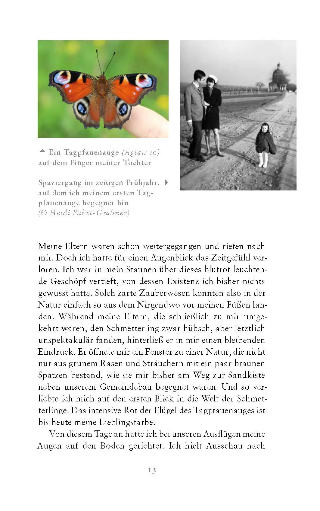 Bild: 9783990605226 | Die fabelhafte Welt der Schmetterlinge | Marion Jaros | Buch | 272 S.