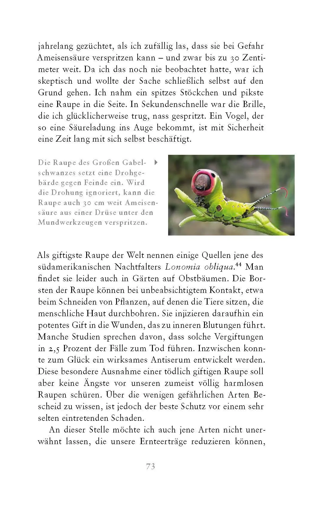 Bild: 9783990605226 | Die fabelhafte Welt der Schmetterlinge | Marion Jaros | Buch | 272 S.