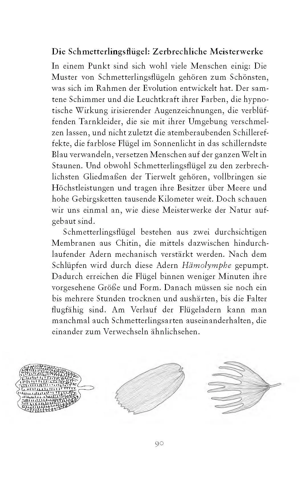 Bild: 9783990605226 | Die fabelhafte Welt der Schmetterlinge | Marion Jaros | Buch | 272 S.