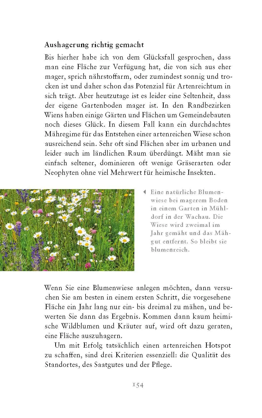 Bild: 9783990605226 | Die fabelhafte Welt der Schmetterlinge | Marion Jaros | Buch | 272 S.