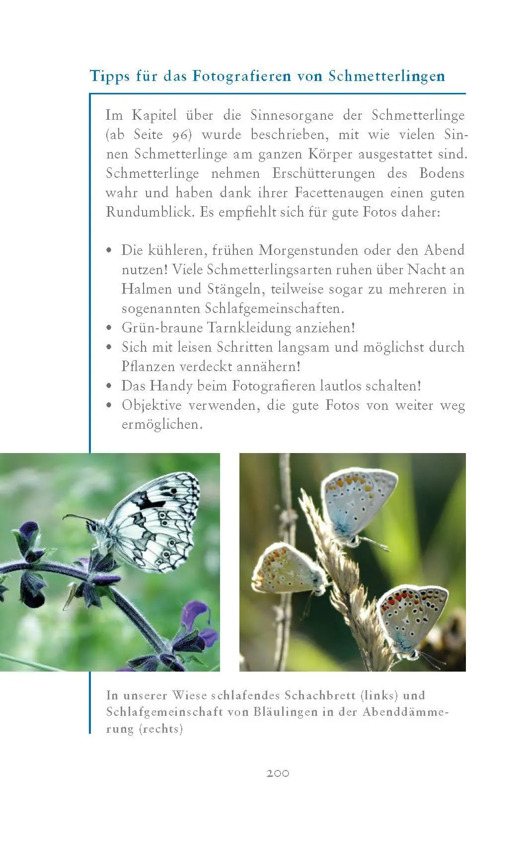 Bild: 9783990605226 | Die fabelhafte Welt der Schmetterlinge | Marion Jaros | Buch | 272 S.