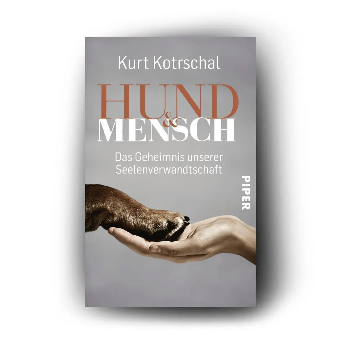 Bild: 9783492315326 | Hund &amp; Mensch | Kurt Kotrschal | Taschenbuch | 240 S. | Deutsch | 2020