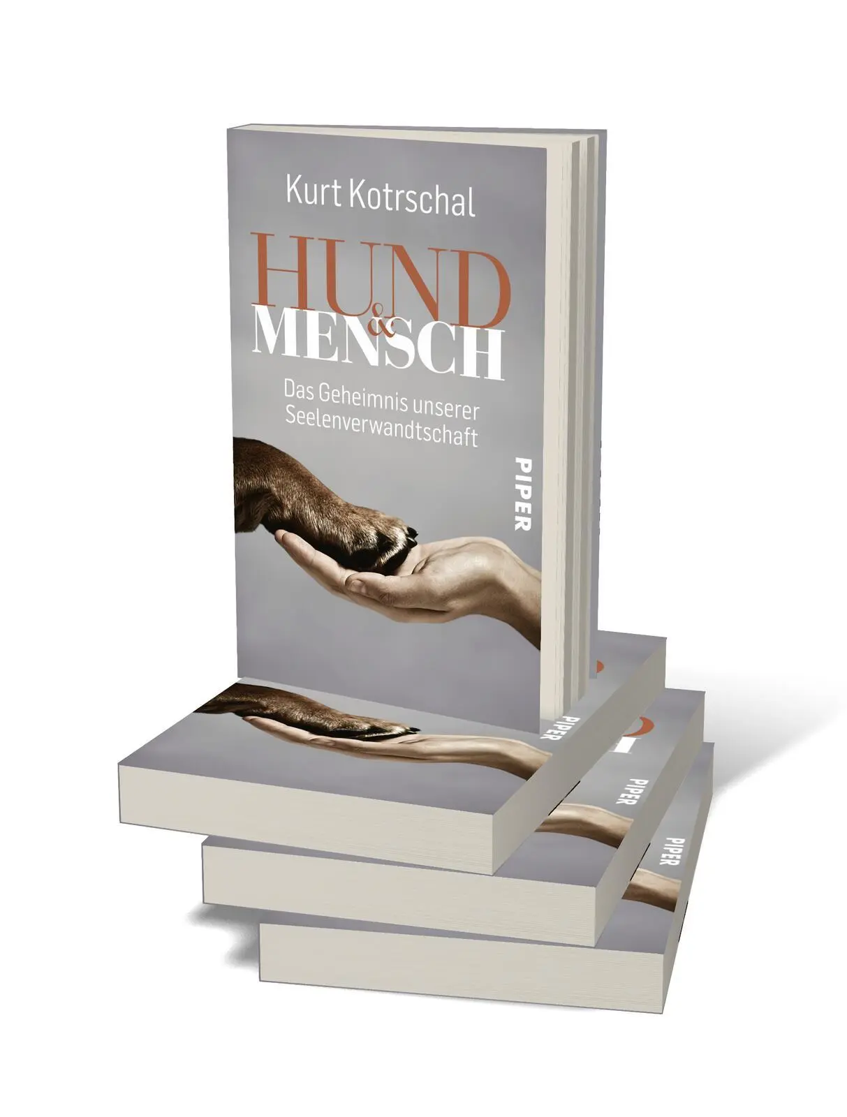 Bild: 9783492315326 | Hund &amp; Mensch | Kurt Kotrschal | Taschenbuch | 240 S. | Deutsch | 2020