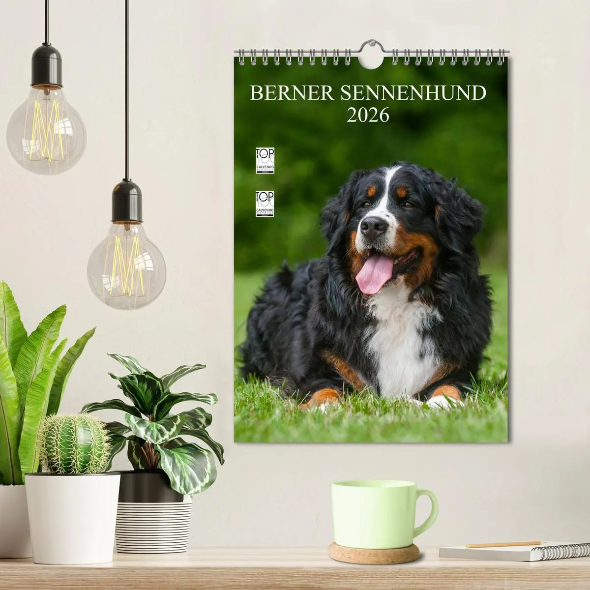 Bild: 9783516475326 | Berner Sennenhund 2026 (Wandkalender 2026 DIN A4 hoch), CALVENDO...