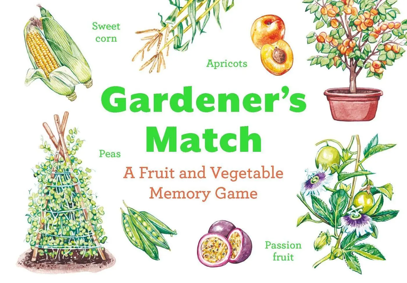 Cover: 9781399615426 | Gardener's Match | A Fruit and Vegetable Memory Game | Spiel | 50 S.