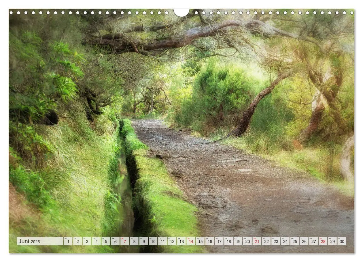 Bild: 9783457825426 | Madeira - eine Rundreise (Wandkalender 2026 DIN A3 quer), CALVENDO...