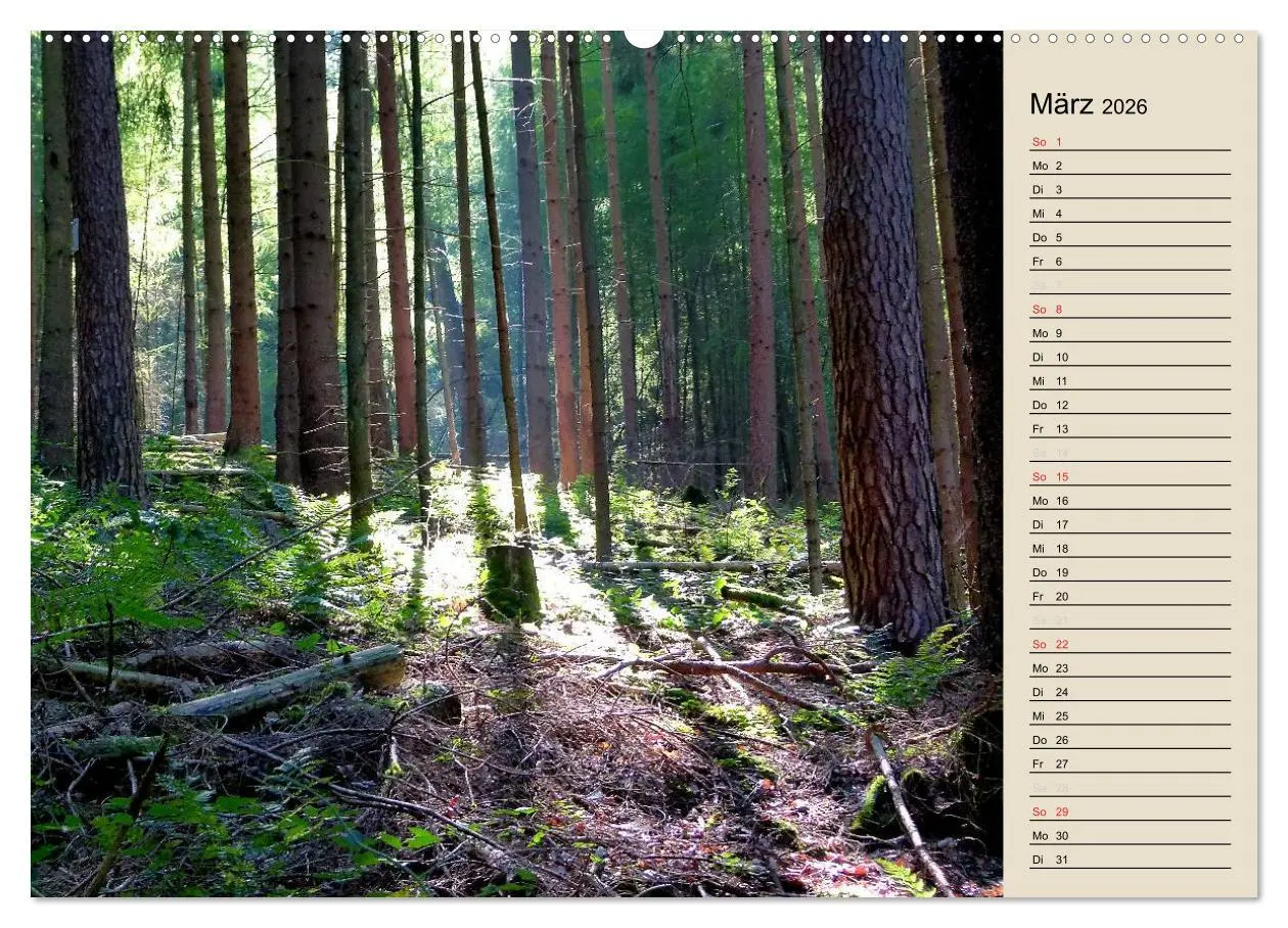 Bild: 9783457995426 | Bad Orb - Romantik im Spessart (Wandkalender 2026 DIN A2 quer),...