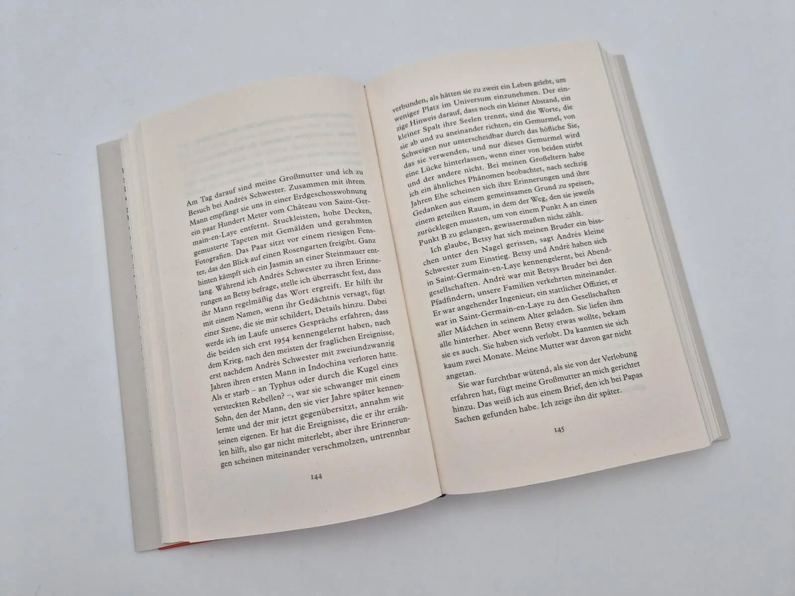 Bild: 9783827015426 | Mein wahrer Name ist Elisabeth | Adèle Yon | Buch | 432 S. | Deutsch