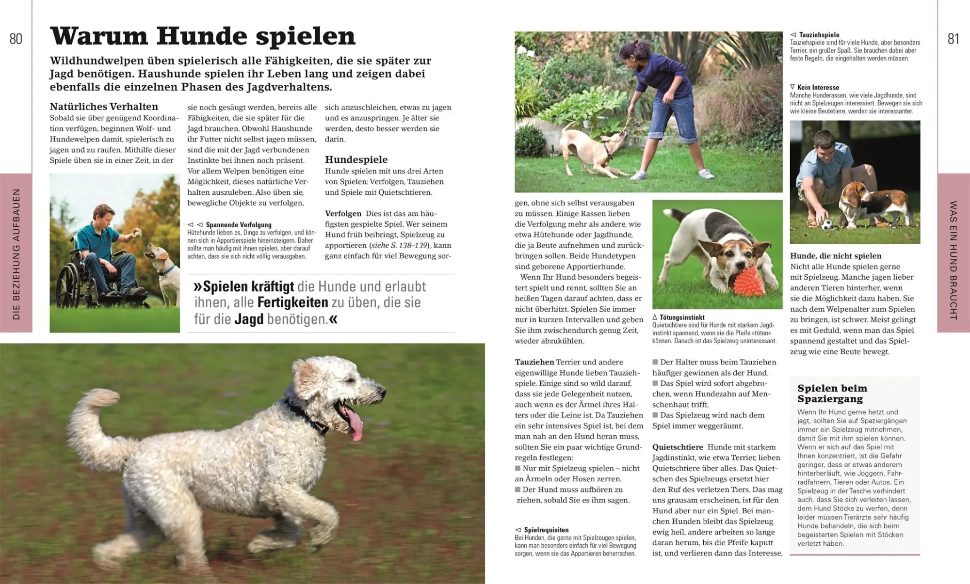 Bild: 9783831045426 | Hundeerziehung ganz einfach | Gwen Bailey | Taschenbuch | 256 S.