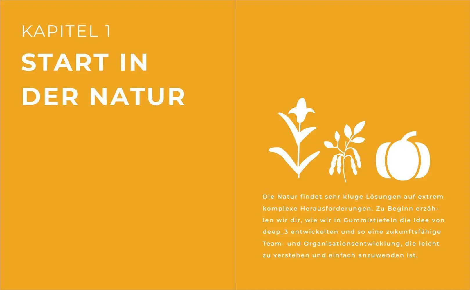 Bild: 9783987265426 | Doing Things Like Nature | Susanne Preiss (u. a.) | Taschenbuch | 2026