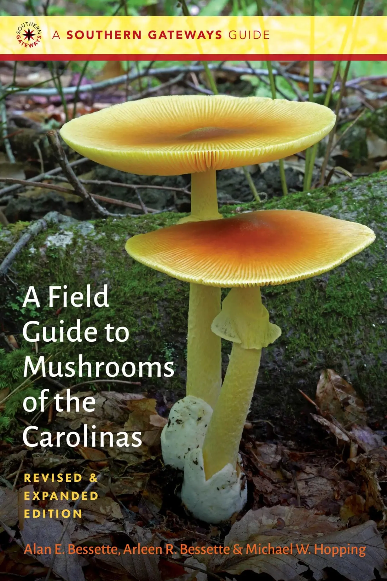 Cover: 9781469685526 | A Field Guide to Mushrooms of the Carolinas | Alan E Bessette (u. a.)