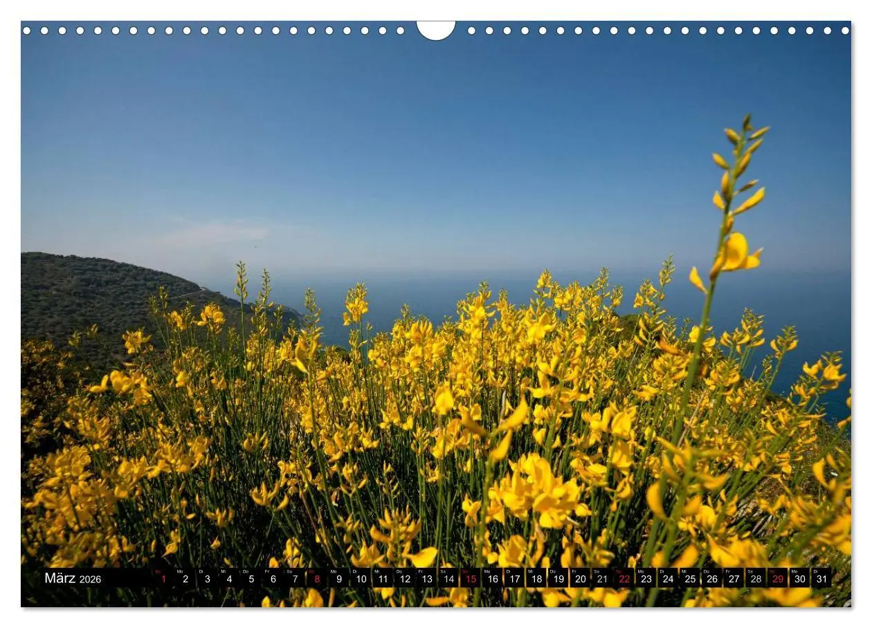 Bild: 9783516145526 | Skiathos + Skopelos (Wandkalender 2026 DIN A3 quer), CALVENDO...