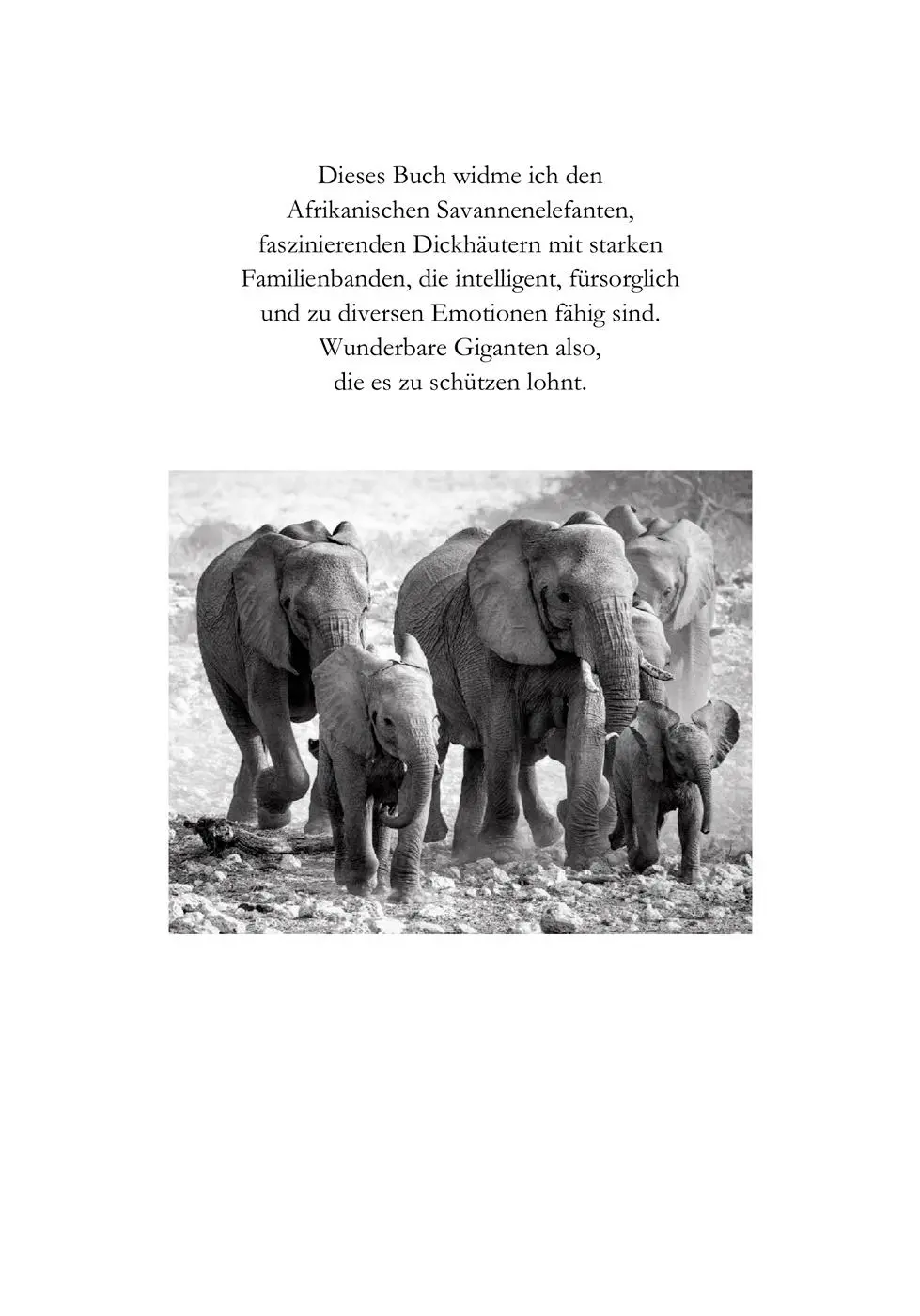 Bild: 9783947895526 | Elefanten Ekstase | Claudia Du Plessis | Taschenbuch | Deutsch | 2025