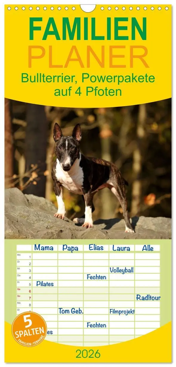 Cover: 9783516515626 | Familienplaner 2026 - Bullterrier, Powerpakete auf 4 Pfoten mit 5...