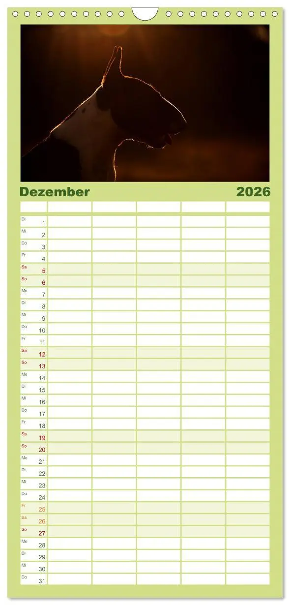 Bild: 9783516515626 | Familienplaner 2026 - Bullterrier, Powerpakete auf 4 Pfoten mit 5...