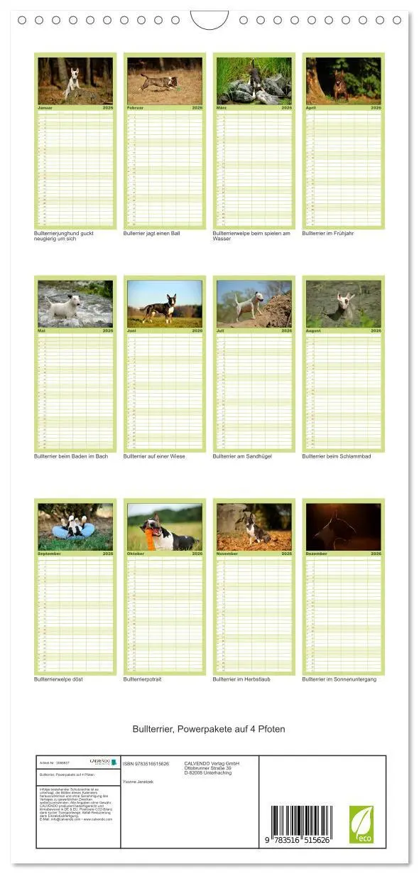 Bild: 9783516515626 | Familienplaner 2026 - Bullterrier, Powerpakete auf 4 Pfoten mit 5...