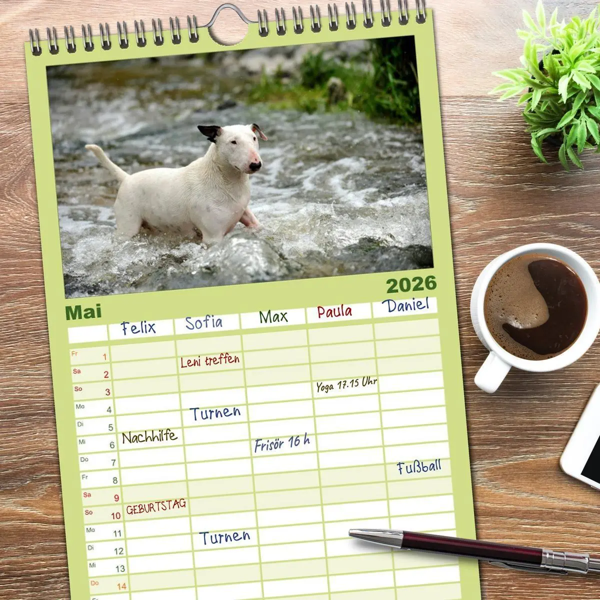 Bild: 9783516515626 | Familienplaner 2026 - Bullterrier, Powerpakete auf 4 Pfoten mit 5...