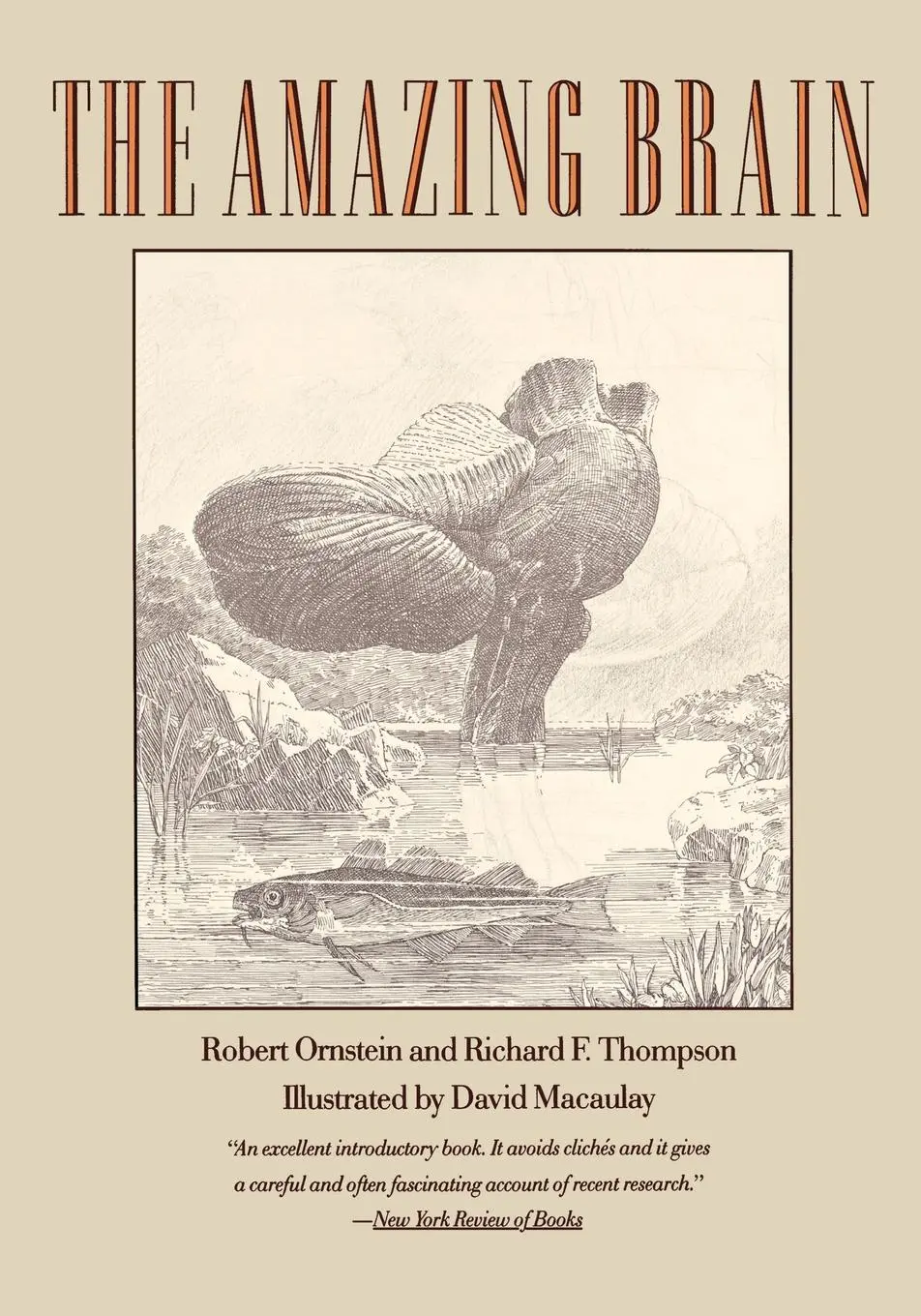 Cover: 9780395585726 | The Amazing Brain | Robert E Ornstein (u. a.) | Taschenbuch | Englisch