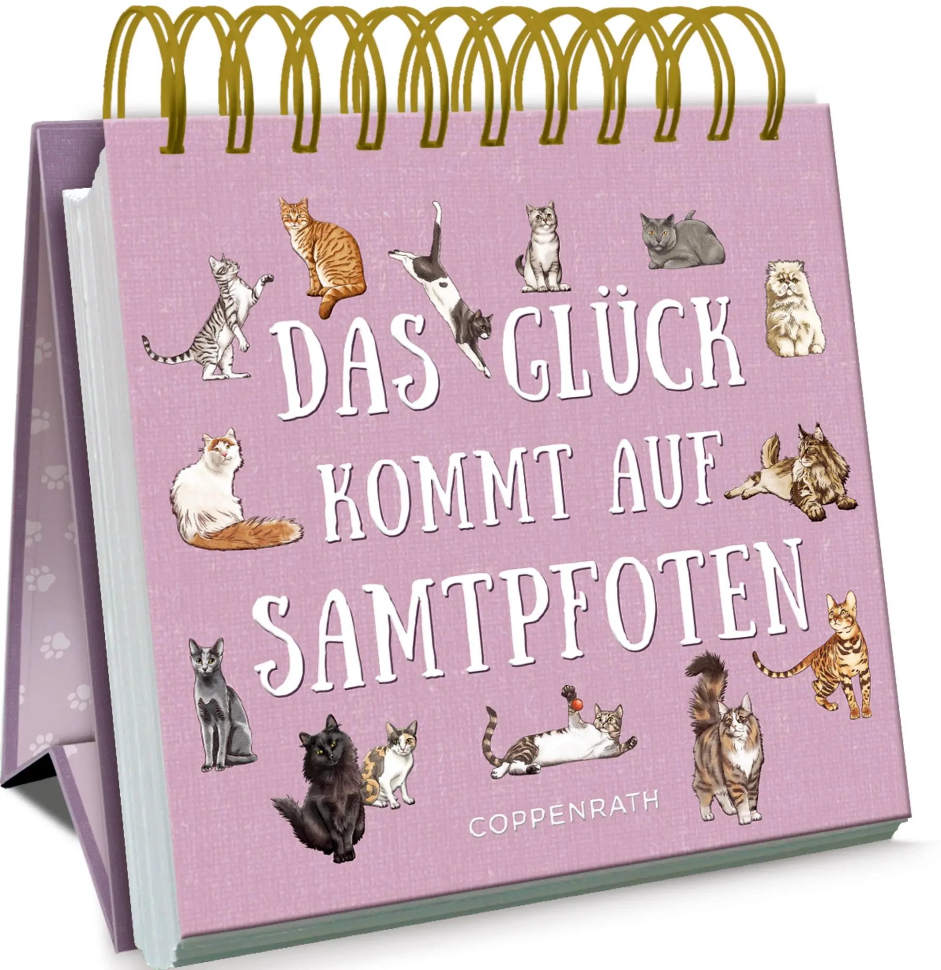 Cover: 9783649645726 | Das Glück kommt auf Samtpfoten | Julia Gerigk | Taschenbuch | 144 S.