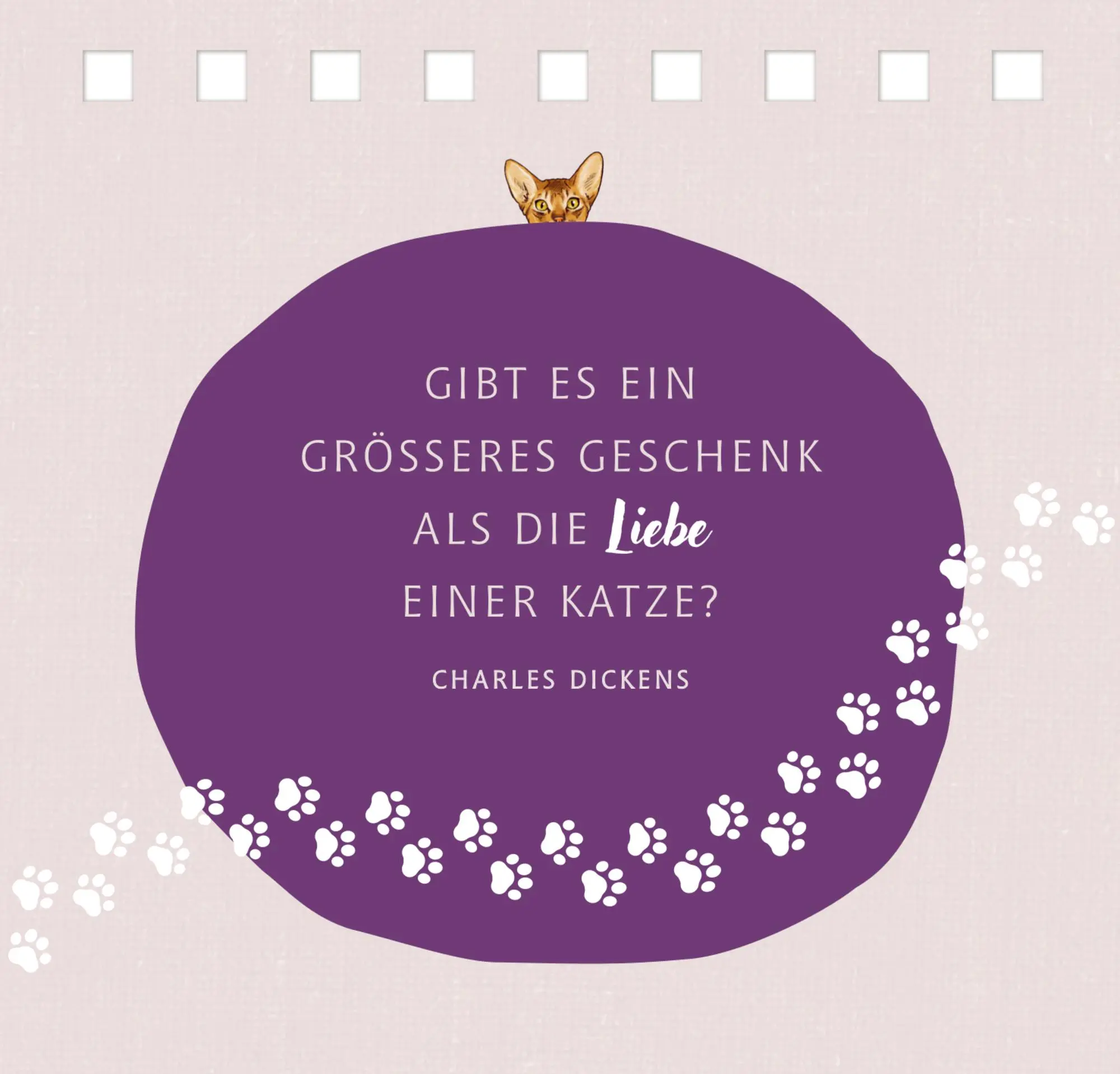 Bild: 9783649645726 | Das Glück kommt auf Samtpfoten | Julia Gerigk | Taschenbuch | 144 S.