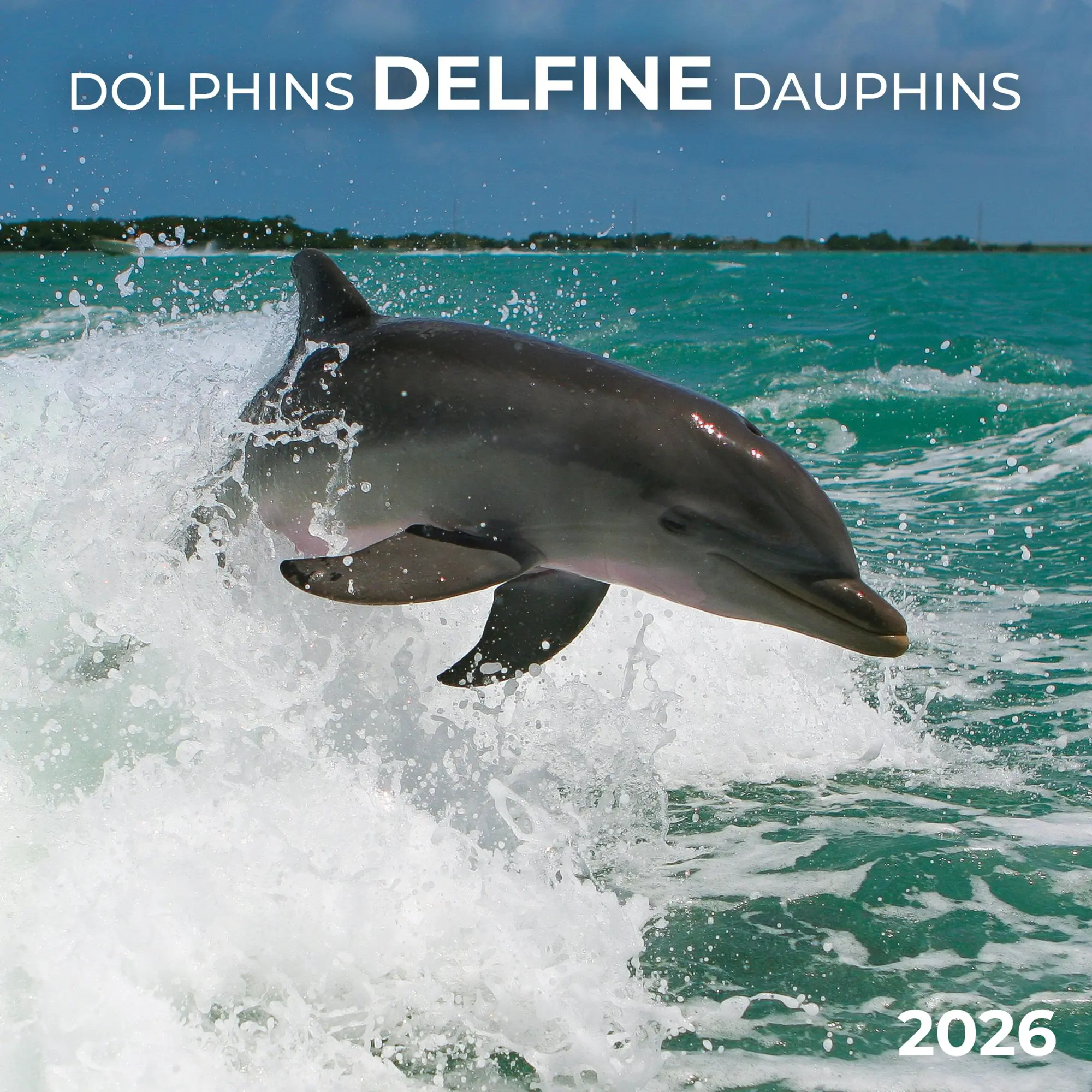 Cover: 9783959295826 | Delfine/Dolphins 2026 | Kalender 2026 | Kalender | Artwork Edition