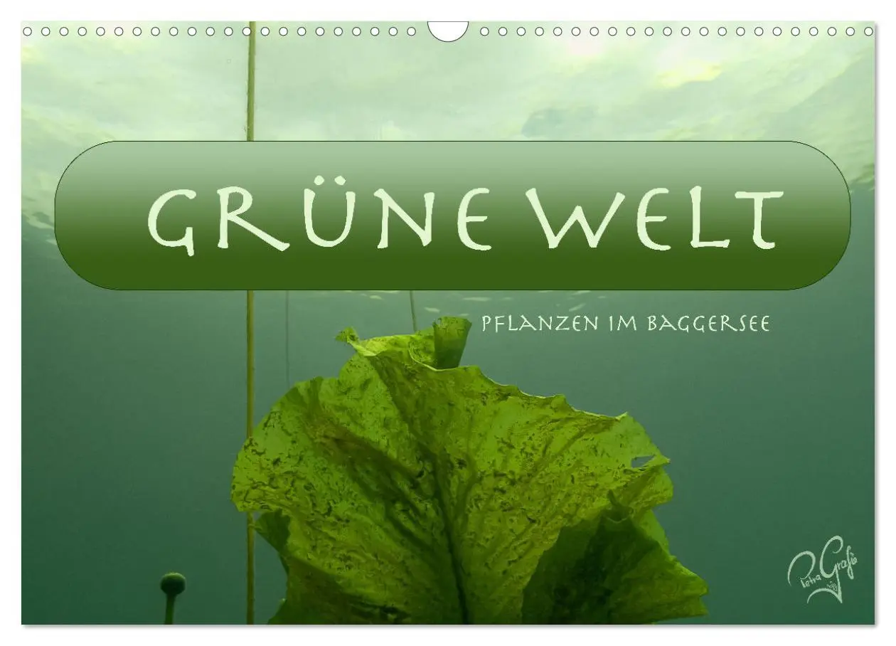 Cover: 9783457635926 | Baggersee - die grüne Welt (Wandkalender 2026 DIN A3 quer),...