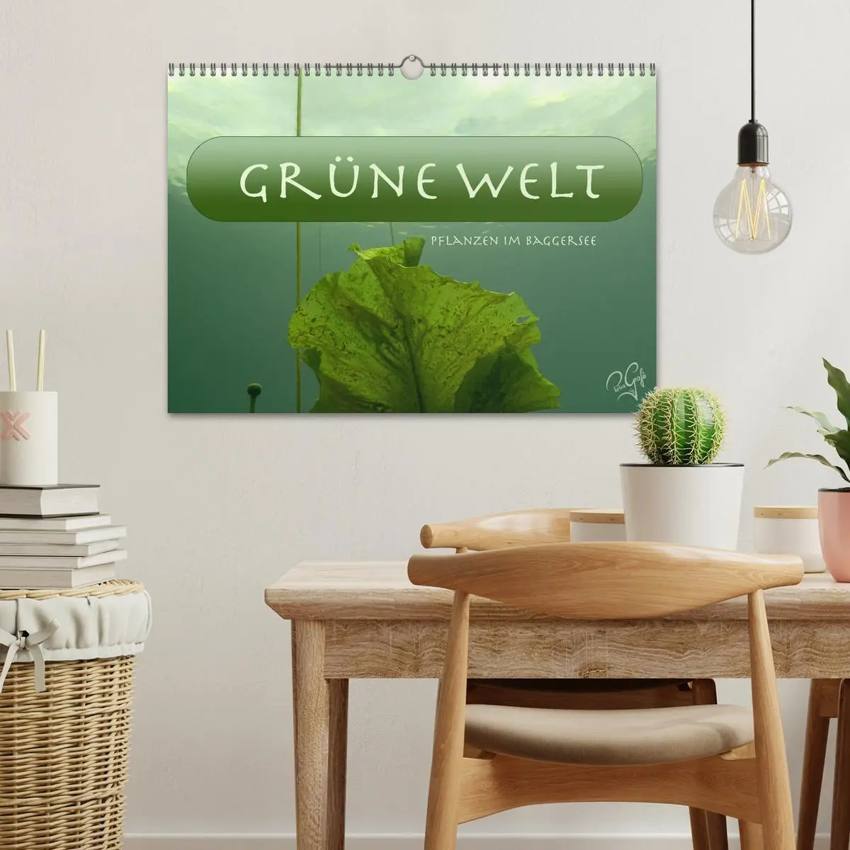 Bild: 9783457635926 | Baggersee - die grüne Welt (Wandkalender 2026 DIN A3 quer),...