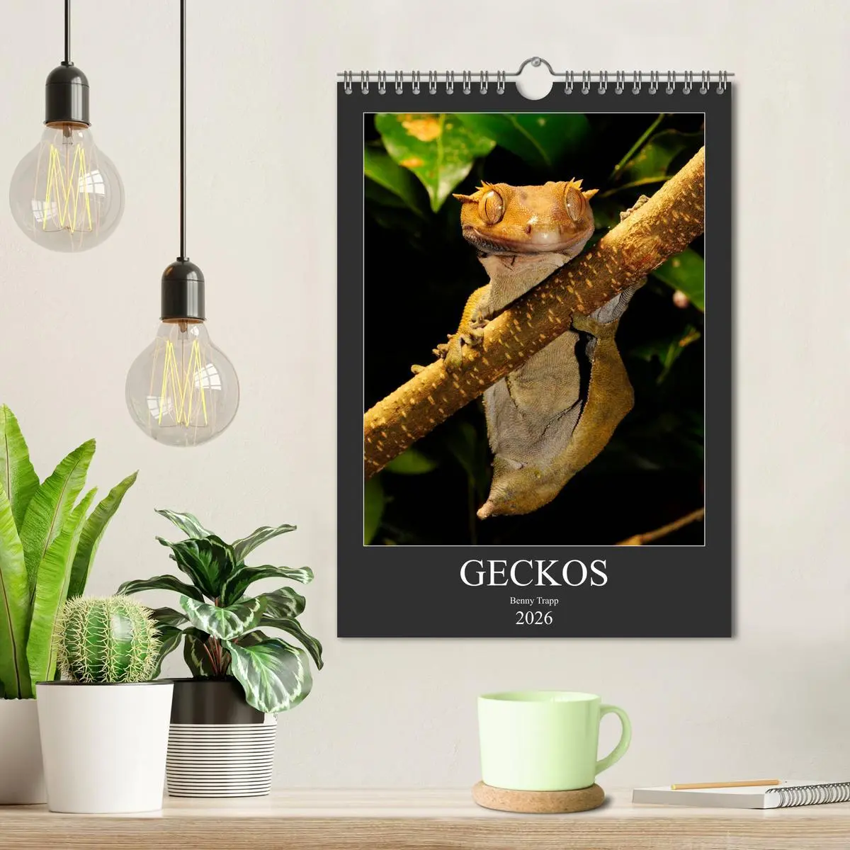 Bild: 9783516415926 | GECKOS (Wandkalender 2026 DIN A4 hoch), CALVENDO Monatskalender | 2026