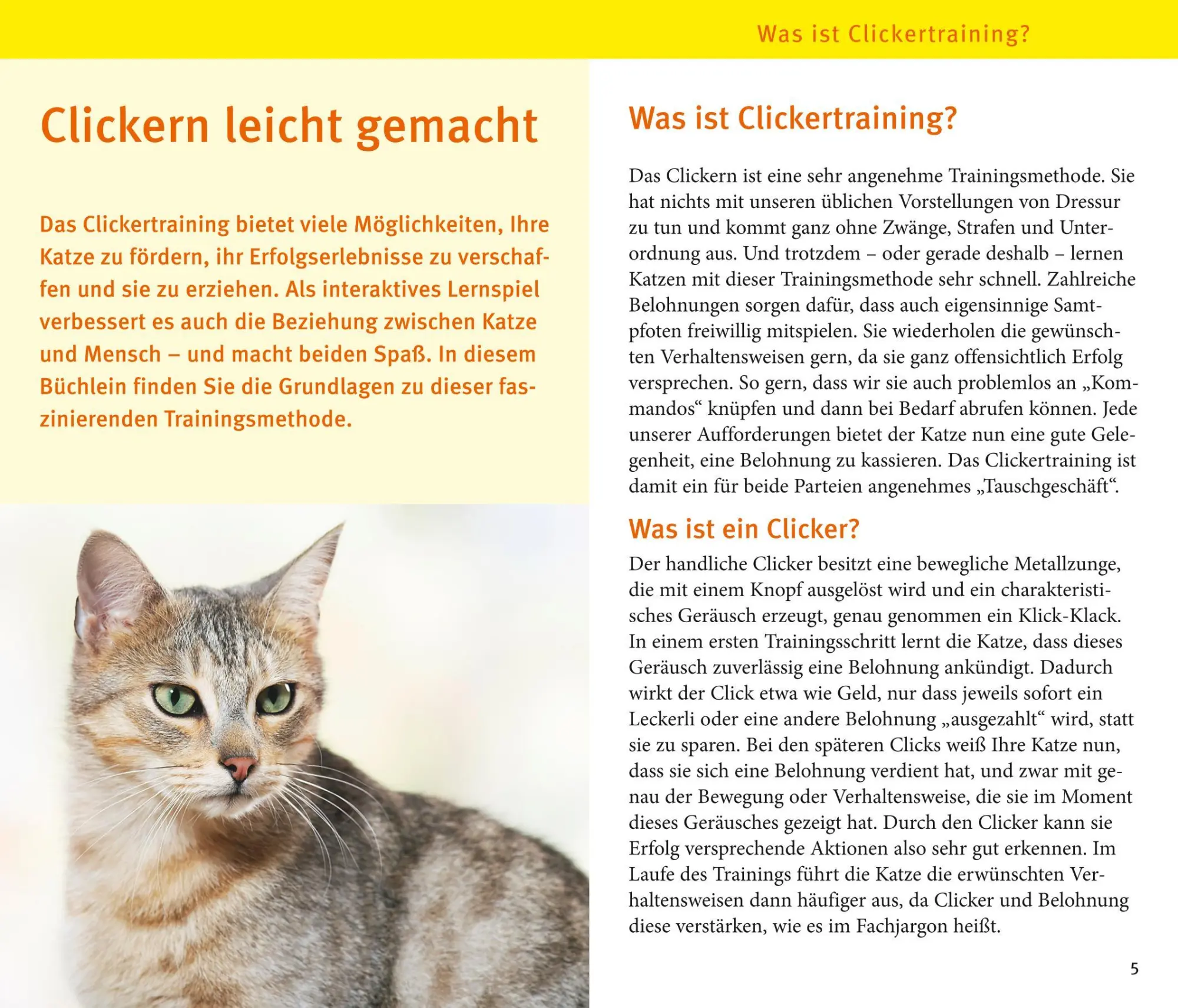 Bild: 9783833835926 | Katzen-Clicker-Box | Plus Clicker für sofortigen Spielspaß | Rödder