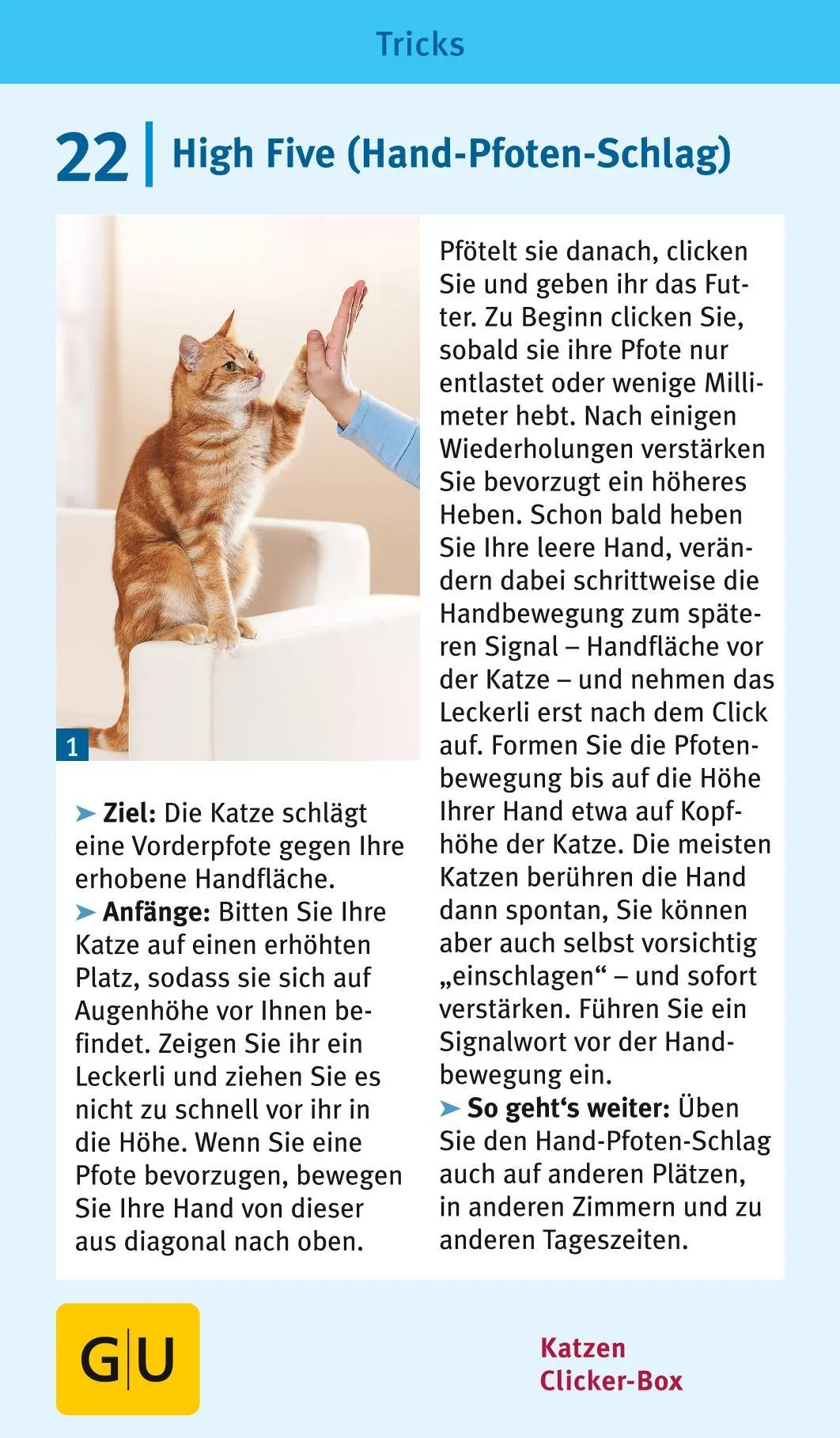 Bild: 9783833835926 | Katzen-Clicker-Box | Plus Clicker für sofortigen Spielspaß | Rödder