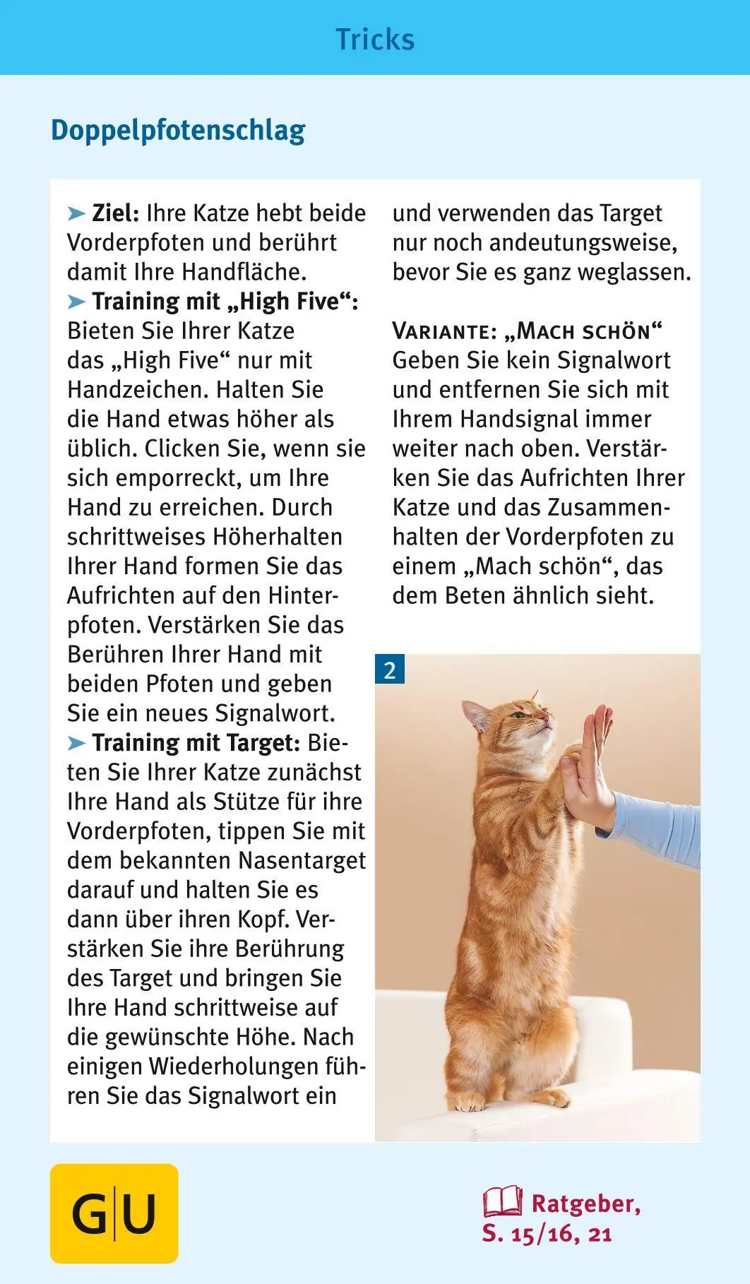 Bild: 9783833835926 | Katzen-Clicker-Box | Plus Clicker für sofortigen Spielspaß | Rödder