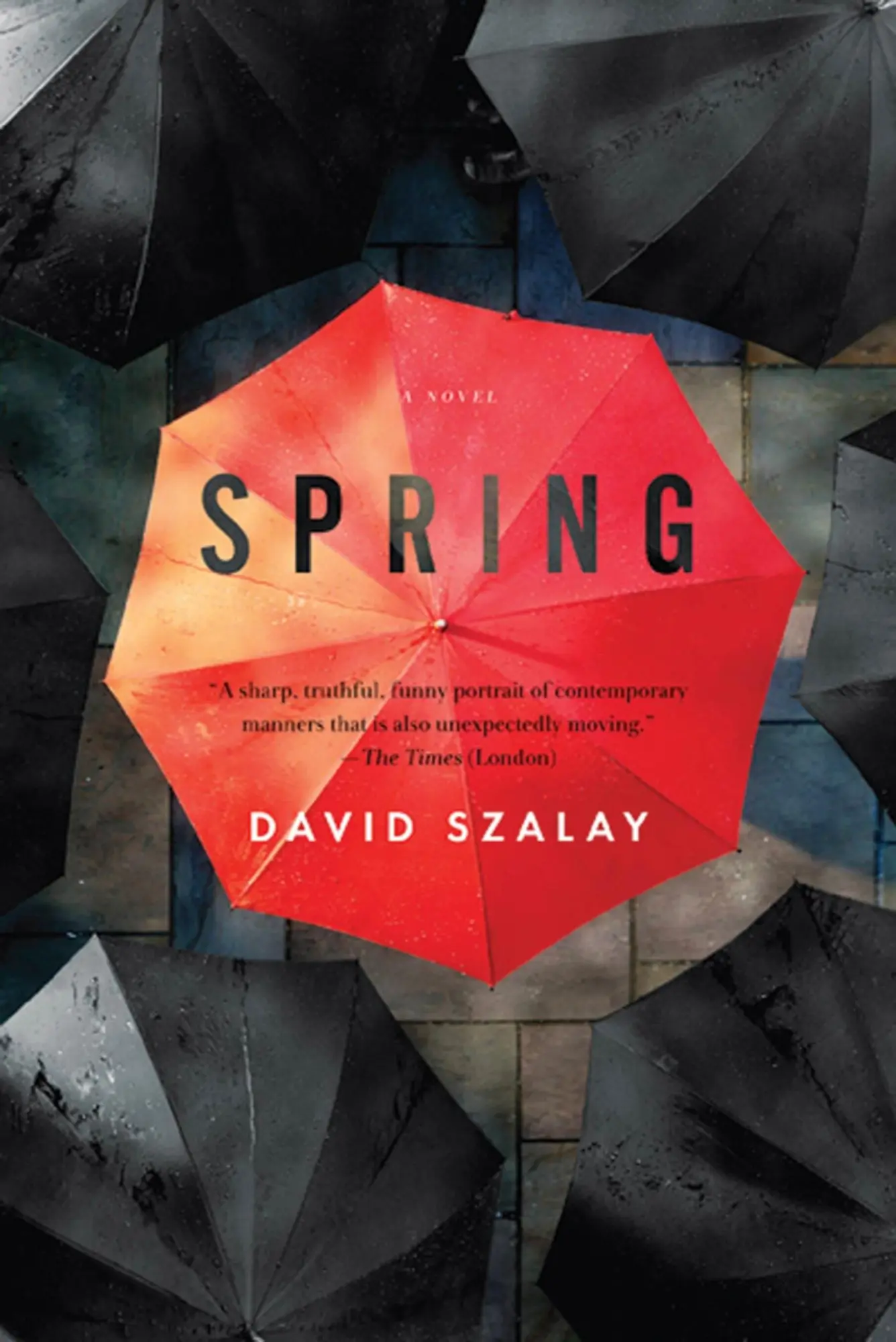 Cover: 9781555976026 | Spring | David Szalay | Taschenbuch | Kartoniert / Broschiert | 2012