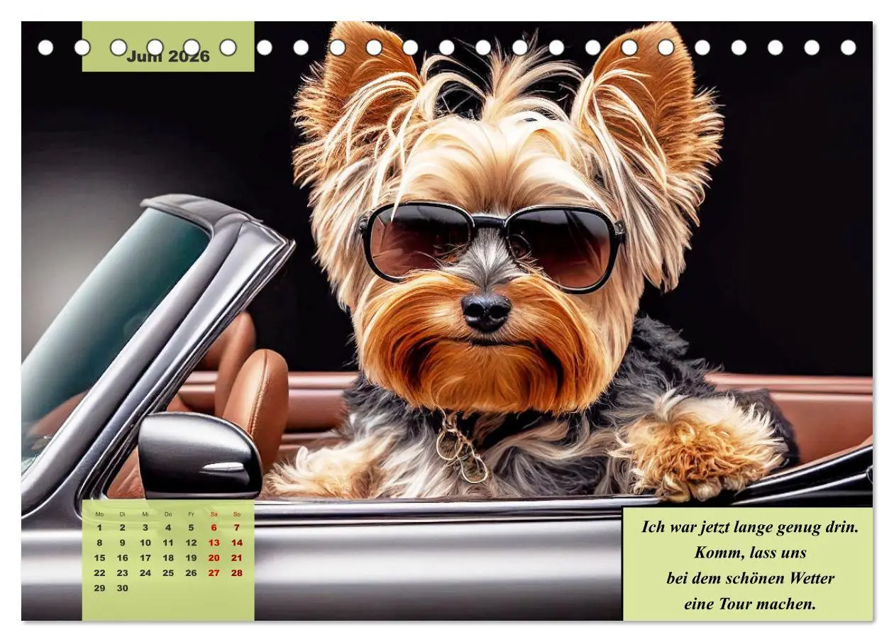 Bild: 9783457386026 | Der humoristische Yorkshire Terrier Kalender (Tischkalender 2026...