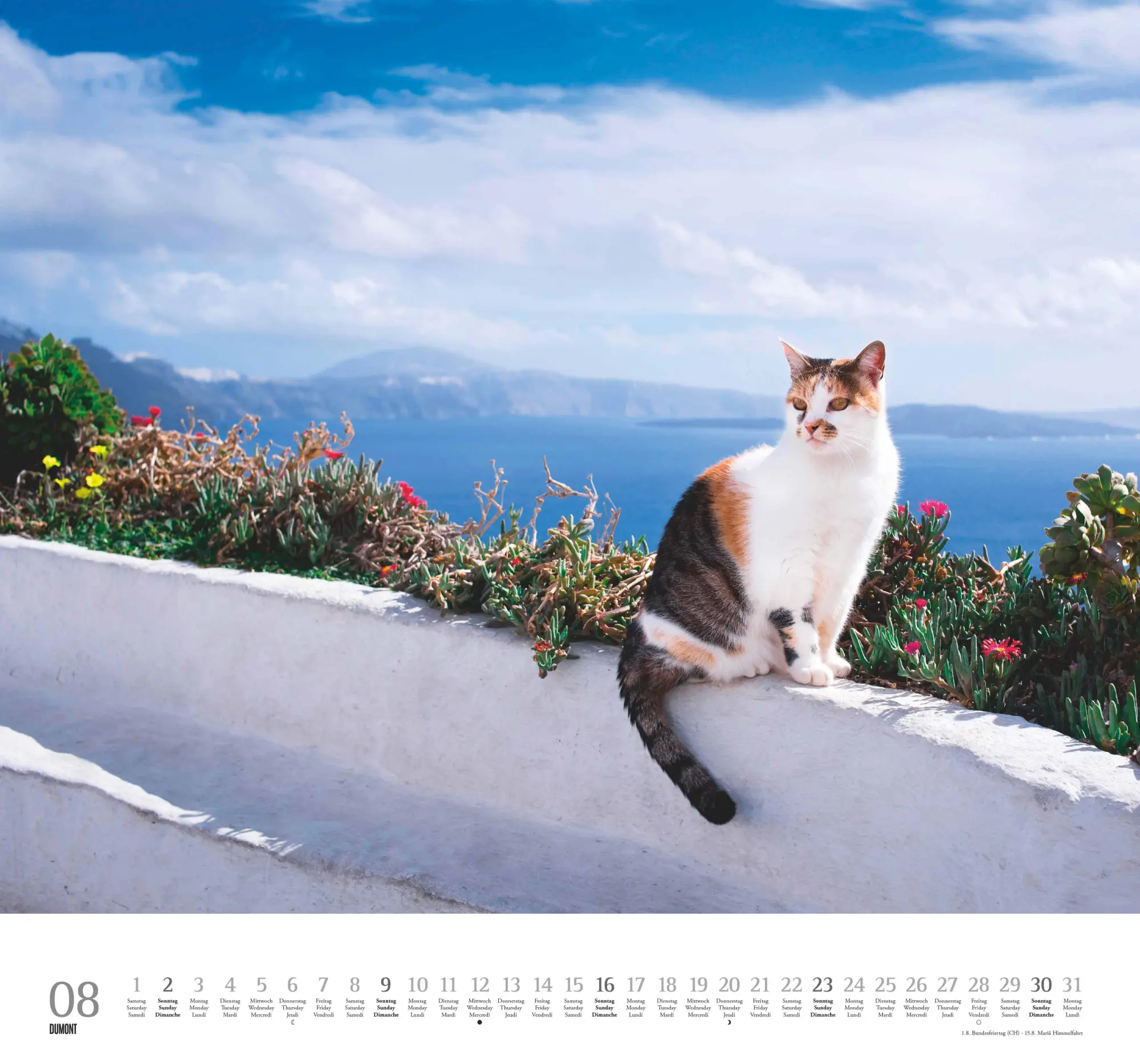 Bild: 4069095006126 | Geliebte Stubentiger 2026 - DUMONT Wandkalender - mit den...
