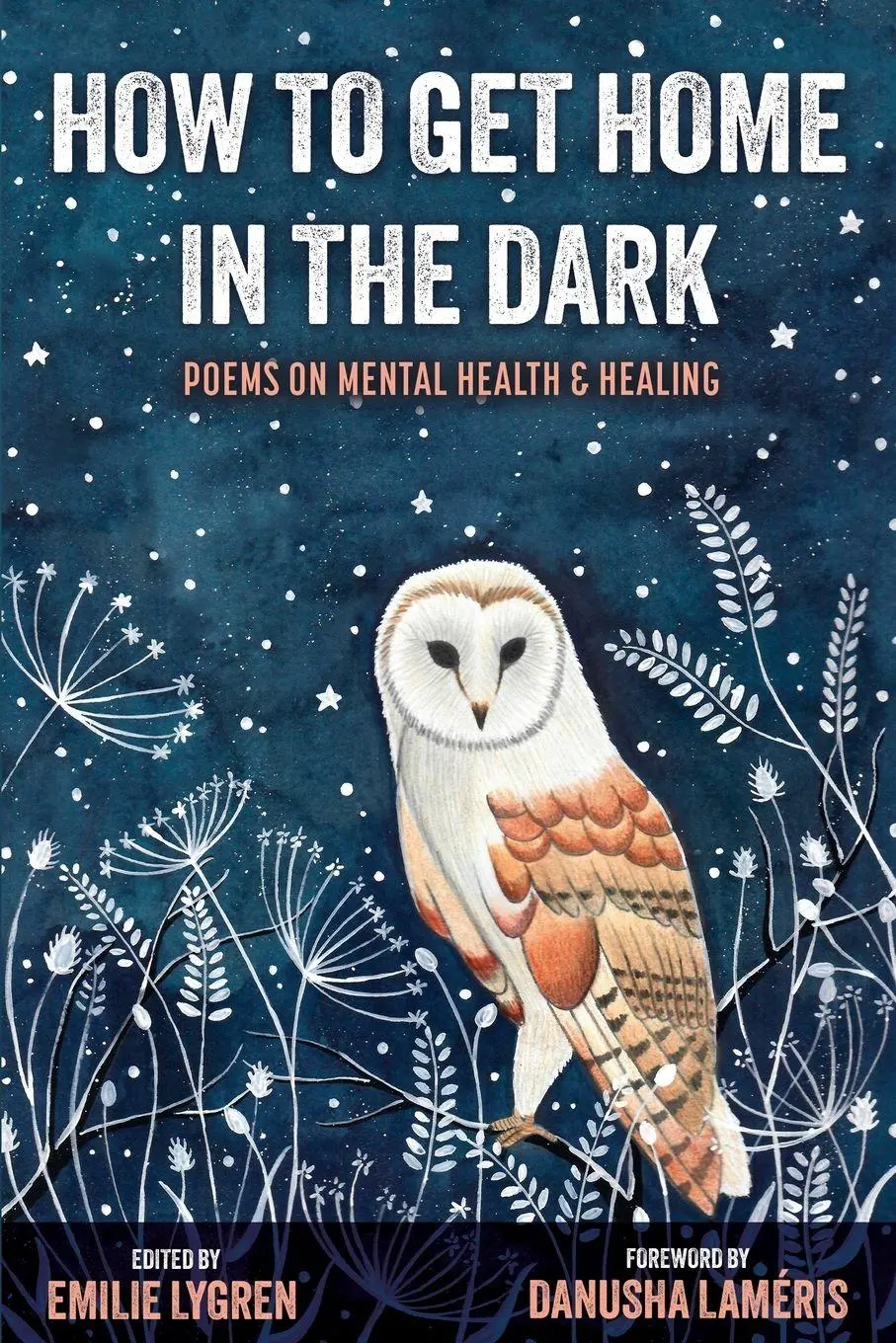 Cover: 9781421836126 | How to Get Home in the Dark | Emilie Lygren | Taschenbuch | Englisch
