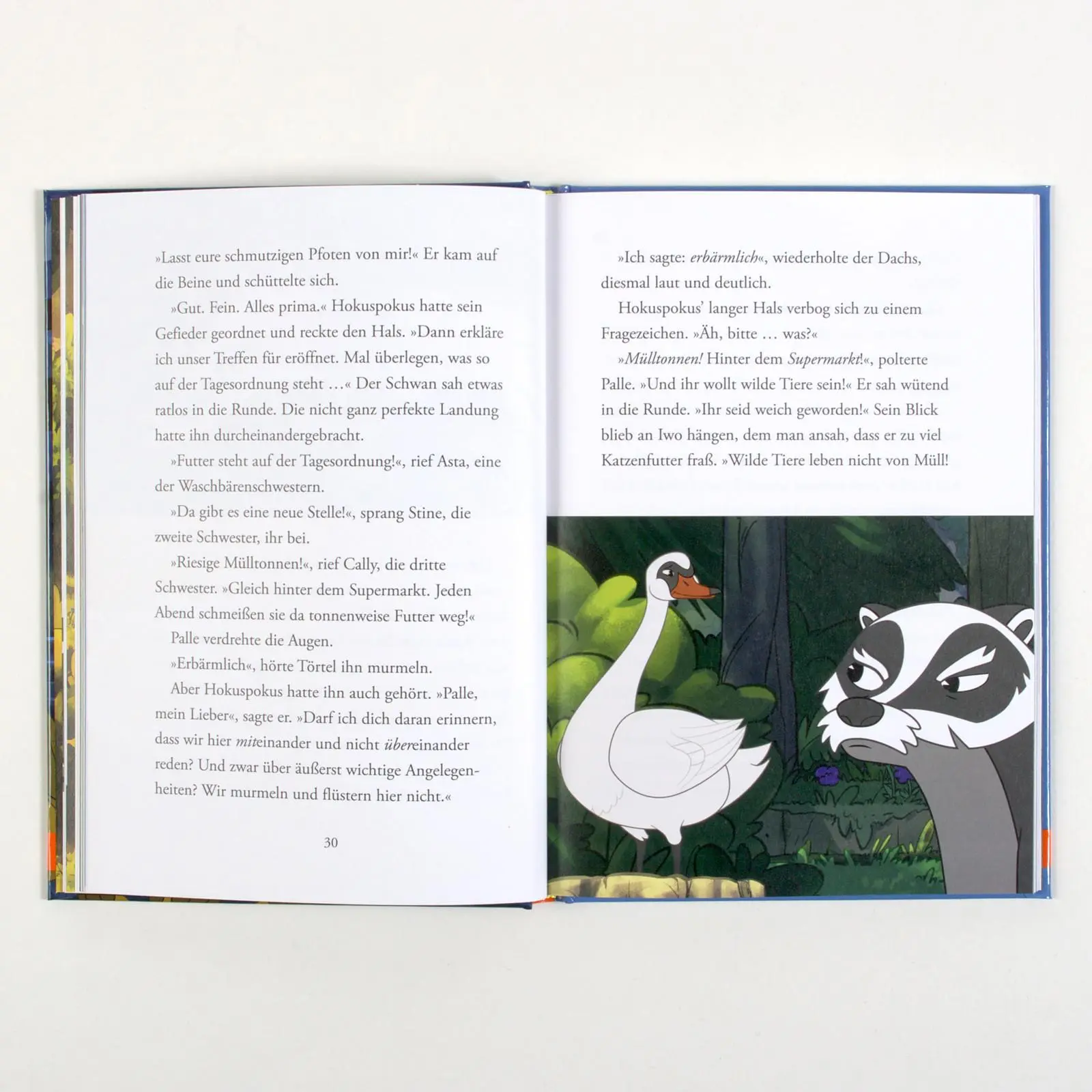 Bild: 9783407796226 | Törtel. Ach du lieber Schwan | Das Buch zur TV-Serie | Wieland Freund