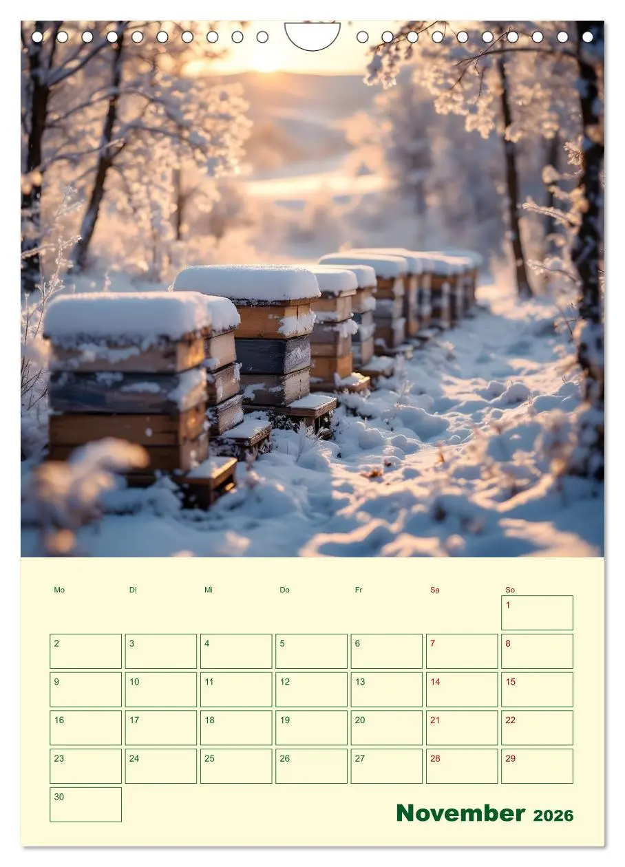 Bild: 9783457296226 | Bienenblick - Ein Jahr mit den Bienen (Wandkalender 2026 DIN A4...