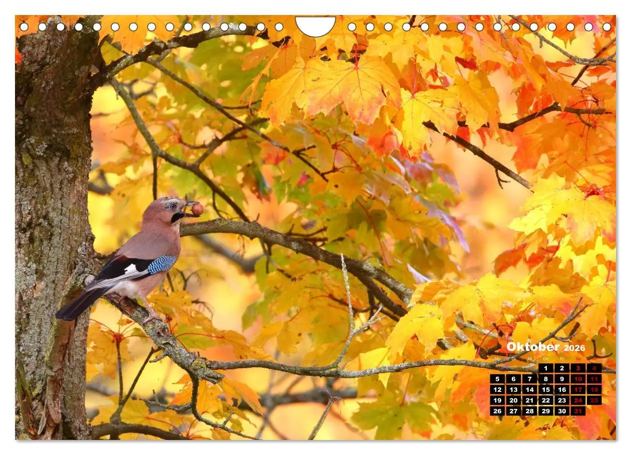 Bild: 9783457366226 | Wildes Bochum (Wandkalender 2026 DIN A4 quer), CALVENDO Monatskalender