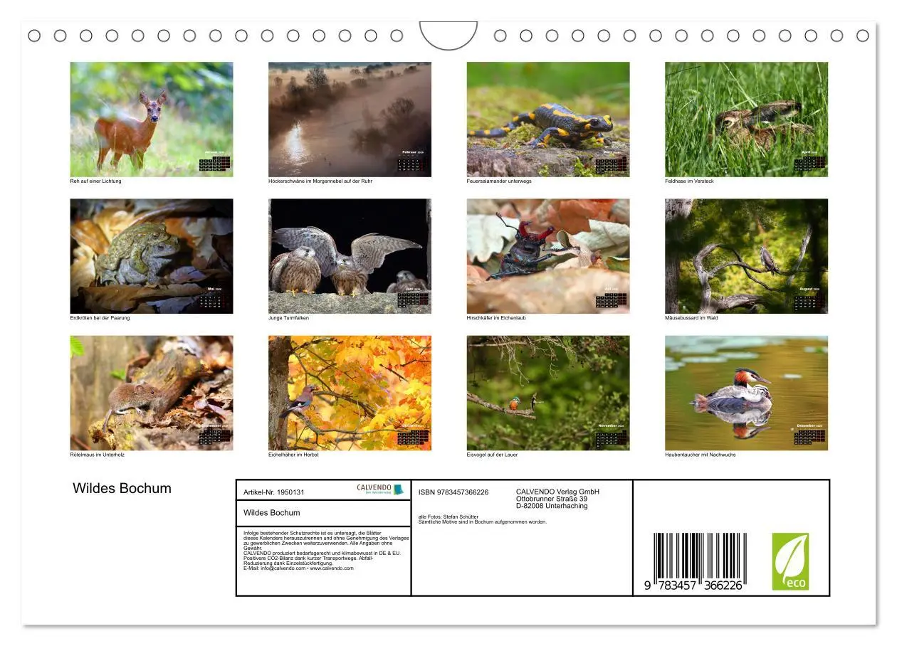 Bild: 9783457366226 | Wildes Bochum (Wandkalender 2026 DIN A4 quer), CALVENDO Monatskalender