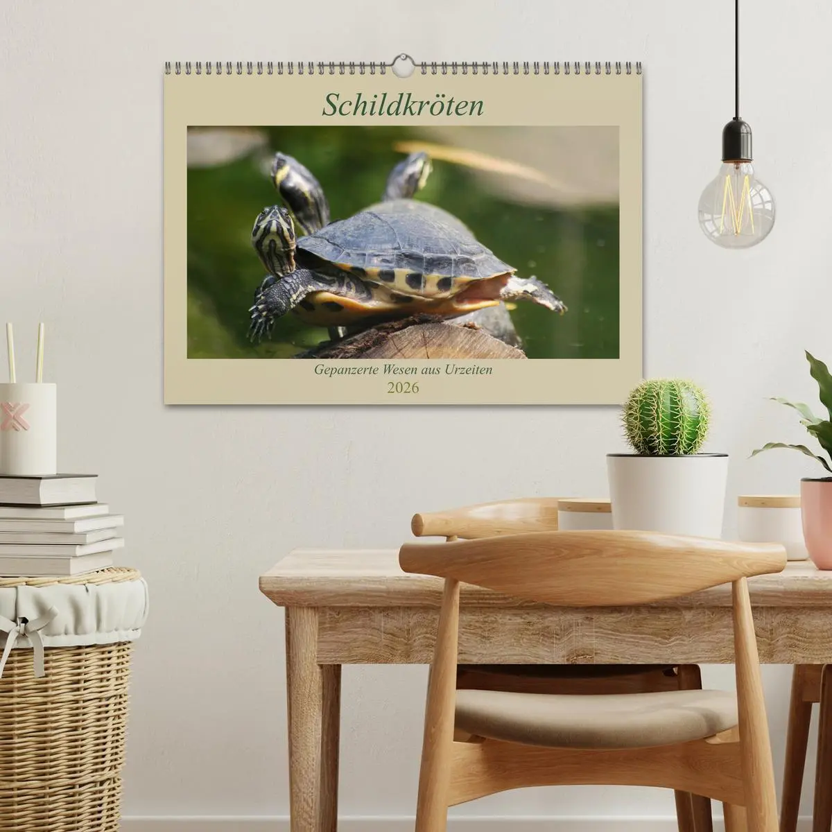 Bild: 9783457746226 | Schildkröten - Gepanzerte Wesen aus Urzeiten (Wandkalender 2026 DIN...