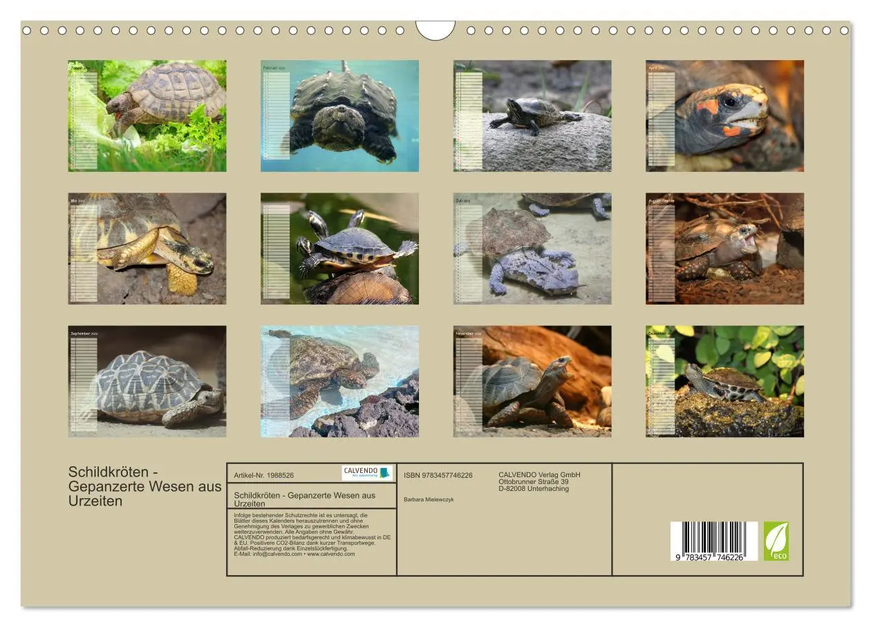 Bild: 9783457746226 | Schildkröten - Gepanzerte Wesen aus Urzeiten (Wandkalender 2026 DIN...