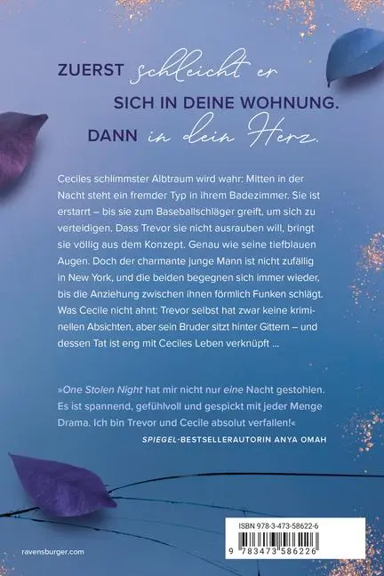 Bild: 9783473586226 | One Stolen Night | Sarah Saxx | Taschenbuch | 384 S. | Deutsch | 2023