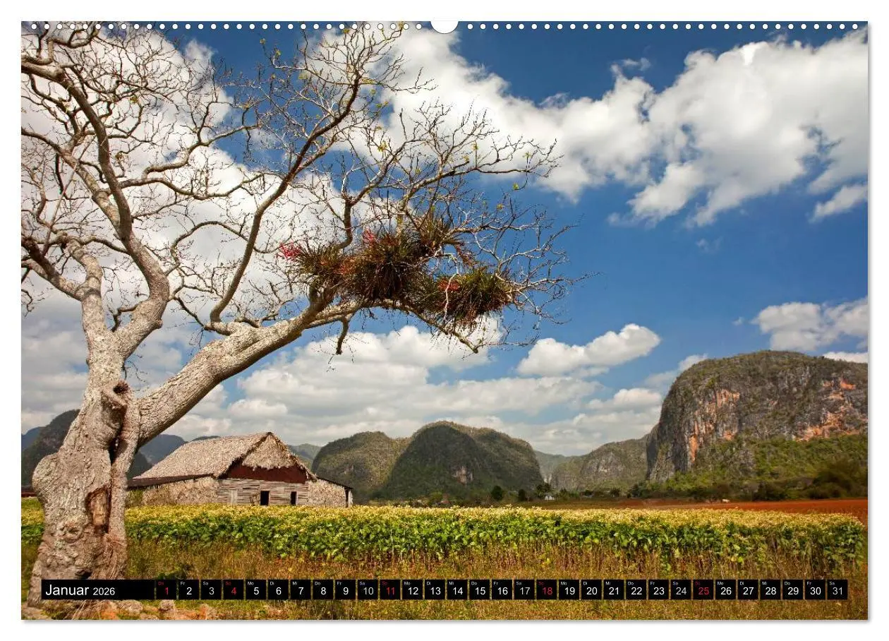Bild: 9783516146226 | Cuba (hochwertiger Premium Wandkalender 2026 DIN A2 quer),...
