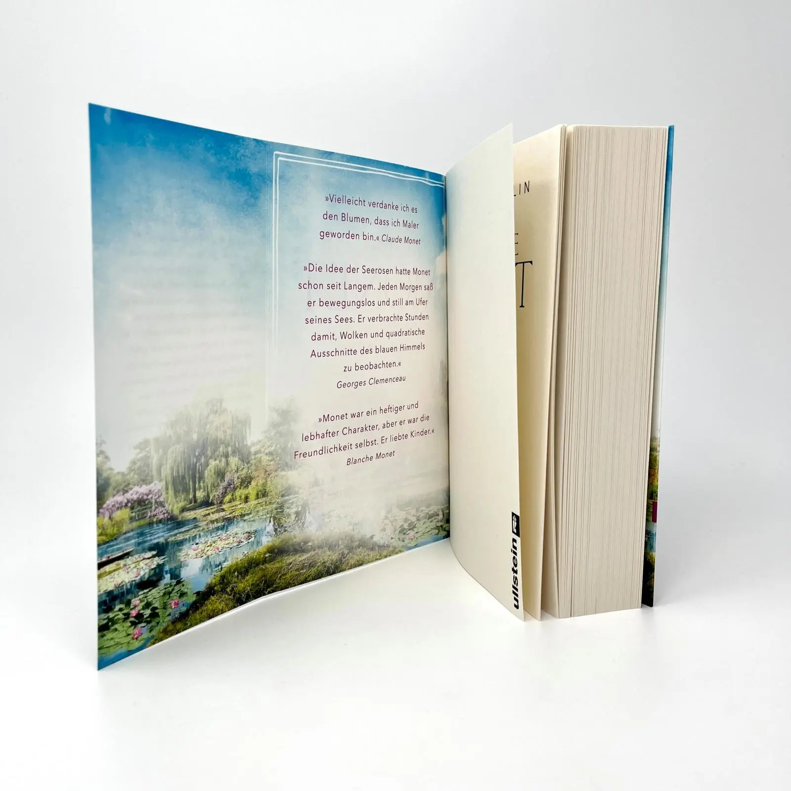 Bild: 9783548066226 | Blanche Monet und das Leuchten der Seerosen | Claire Paulin | Buch